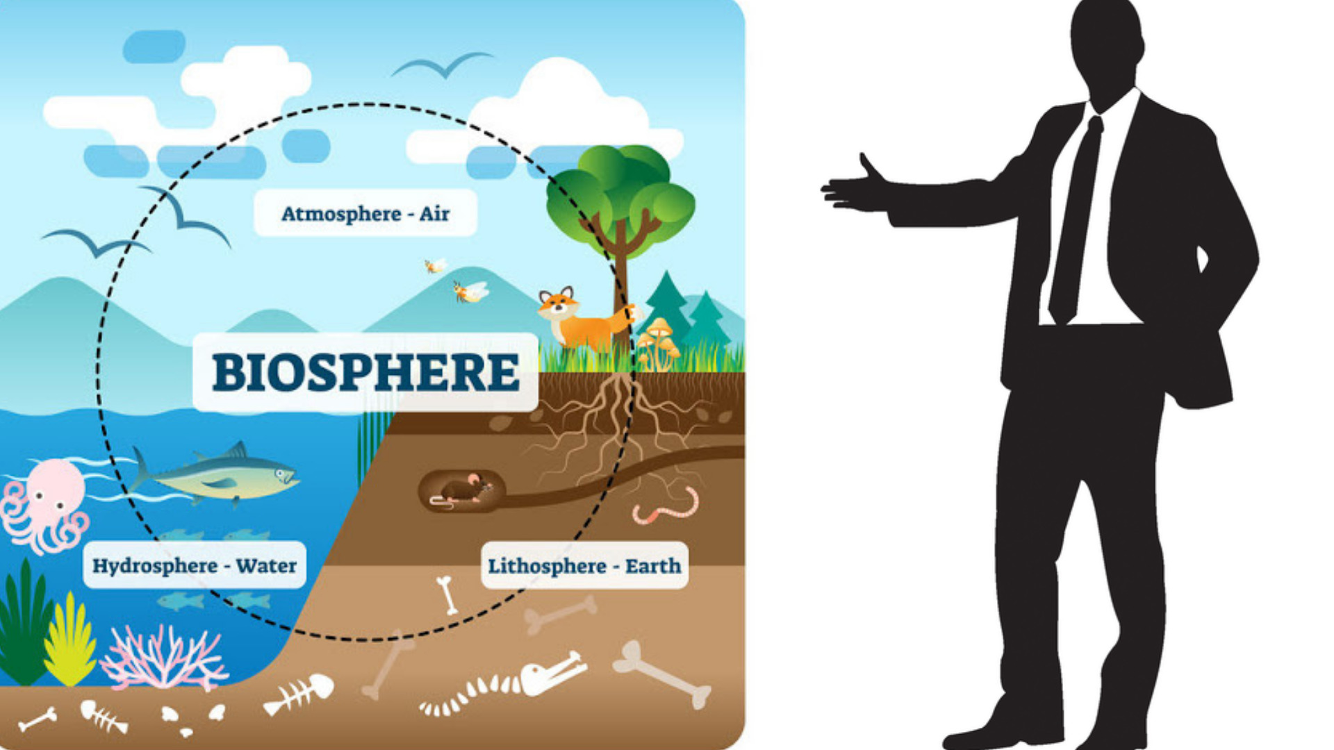 Man and Biosphere - AnthroMania