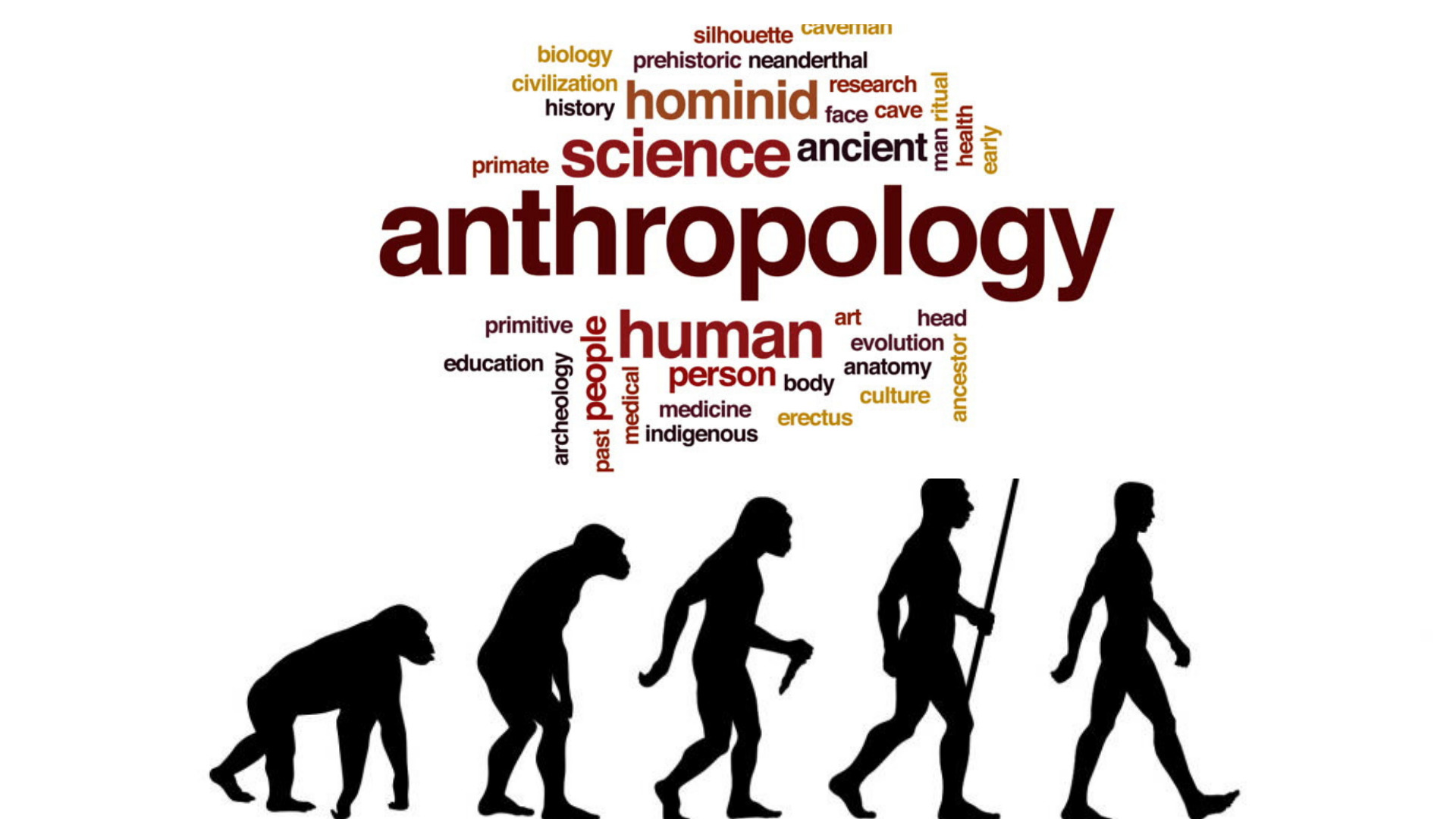 Anthropology