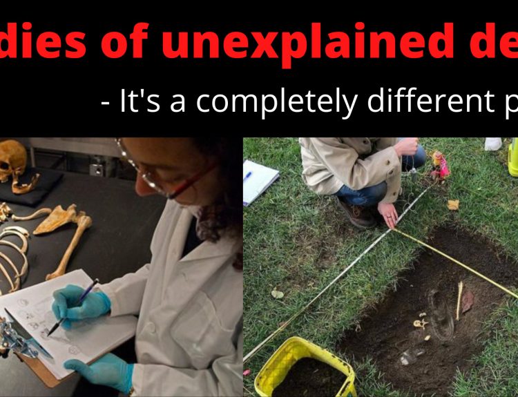 Forensic anthropology