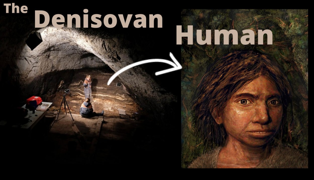 The Denisovan Human