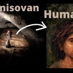 The Denisovan Human