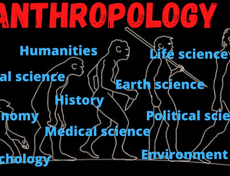 Relationship of Anthropology with other disciplines