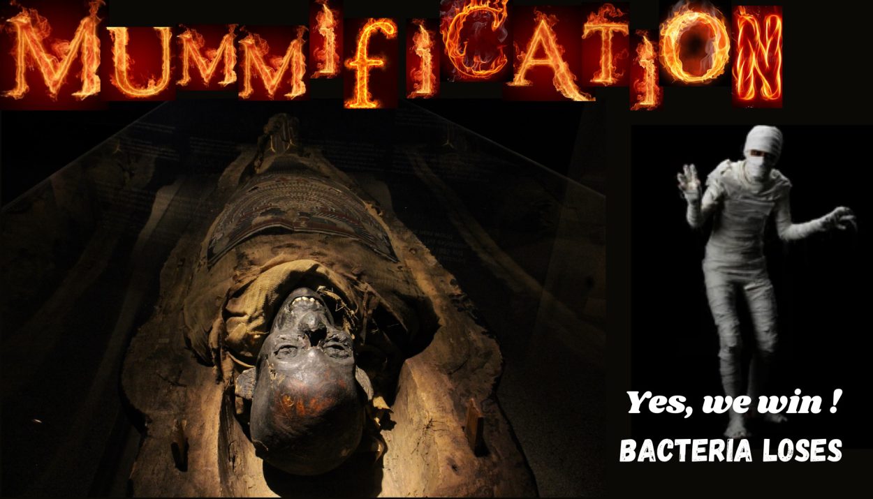 The Art of Mummification- Ancient Egypt