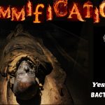 The Art of Mummification- Ancient Egypt