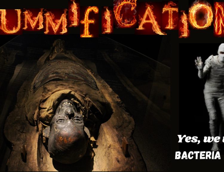 The Art of Mummification- Ancient Egypt