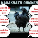 Story of Kadaknath Chicken