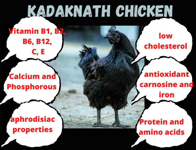 Story of Kadaknath Chicken