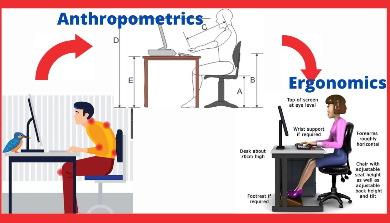 Anthropometrics and Ergonomics