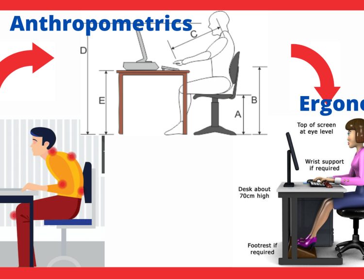 Anthropometrics and Ergonomics