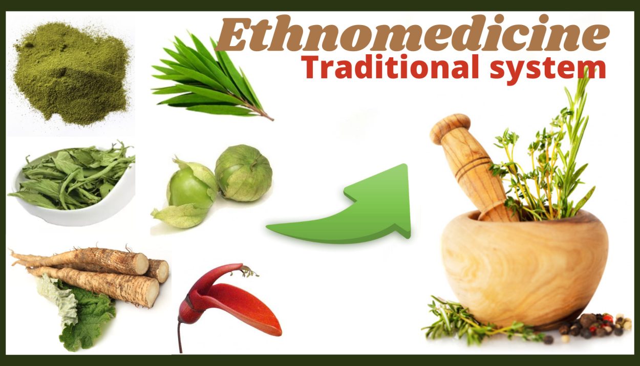 Ethnomedicine- Traditional medicine system
