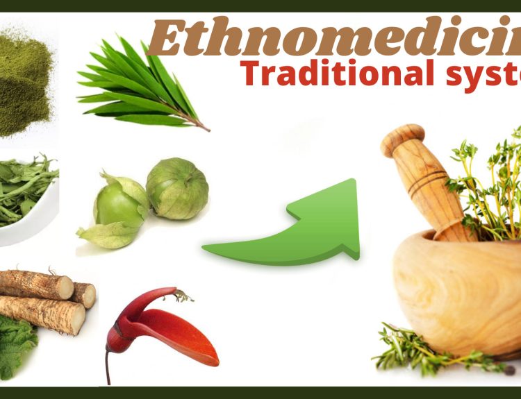 Ethnomedicine- Traditional medicine system