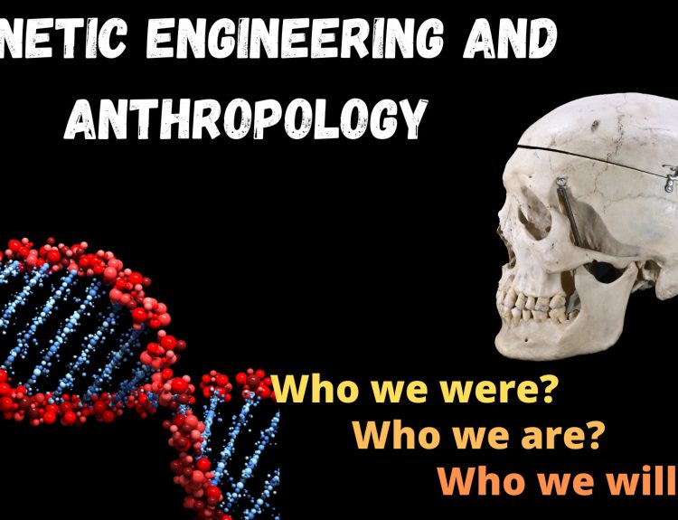 Genetic Engineering and Anthropology