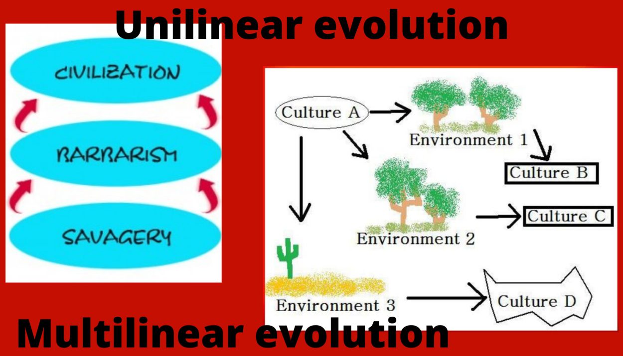 Cultural Evolution - Theory of Cultural Change