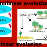 Cultural Evolution - Theory of Cultural Change