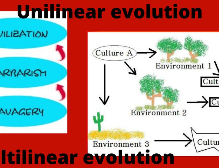 Cultural Evolution - Theory of Cultural Change