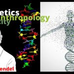 GENETICS and ANTHROPOLOGY