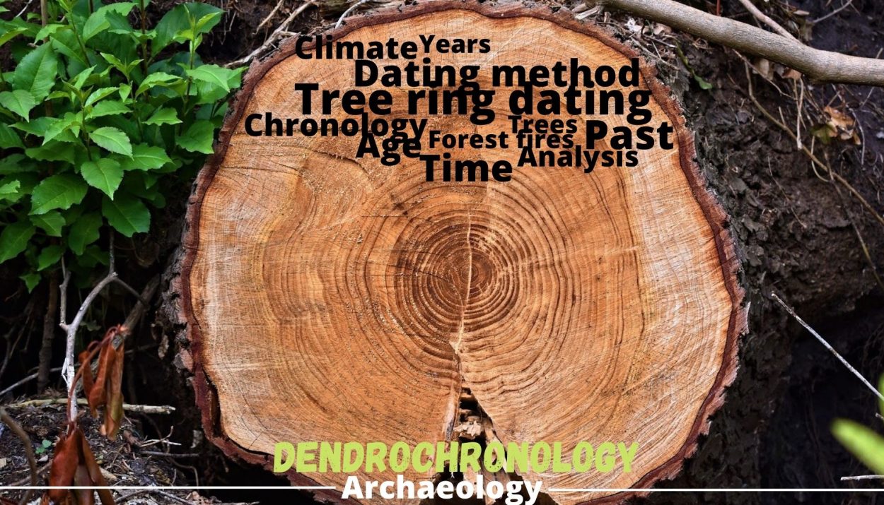 Dendrochronology- Tree Ring Dating