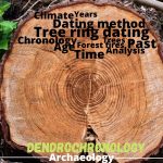 Dendrochronology- Tree Ring Dating