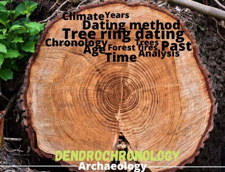 Dendrochronology- Tree Ring Dating