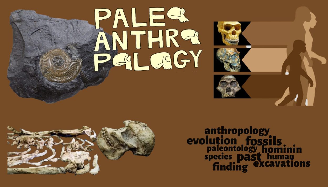Introduction to Paleoanthropology