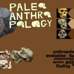 Introduction to Paleoanthropology