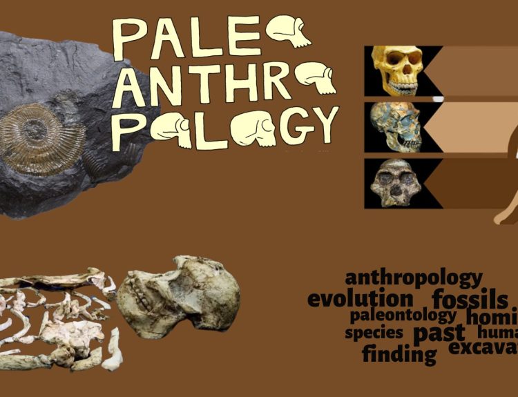 Introduction to Paleoanthropology