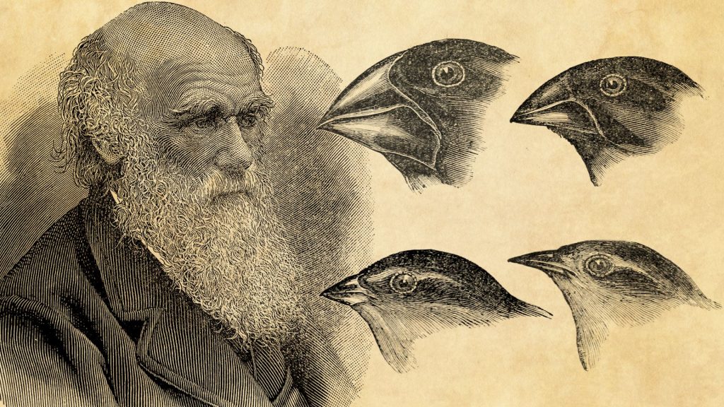 Darwin S Last Paragraph Darwin Online Introduction To Origin Of Darwin S Last Paragraph Darwin Online Introduction To Origin Of