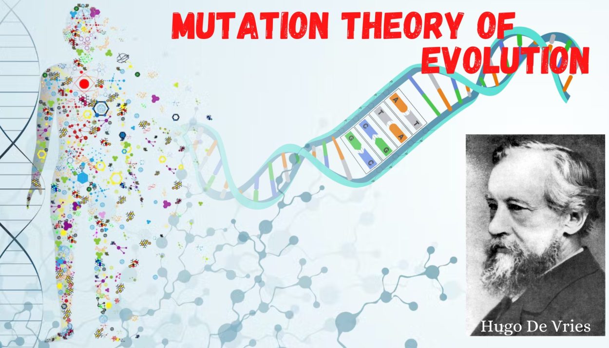 Mutation Theory of Evolution