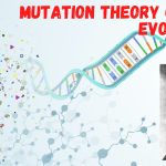 Mutation Theory of Evolution