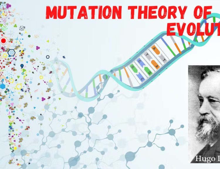 Mutation Theory of Evolution