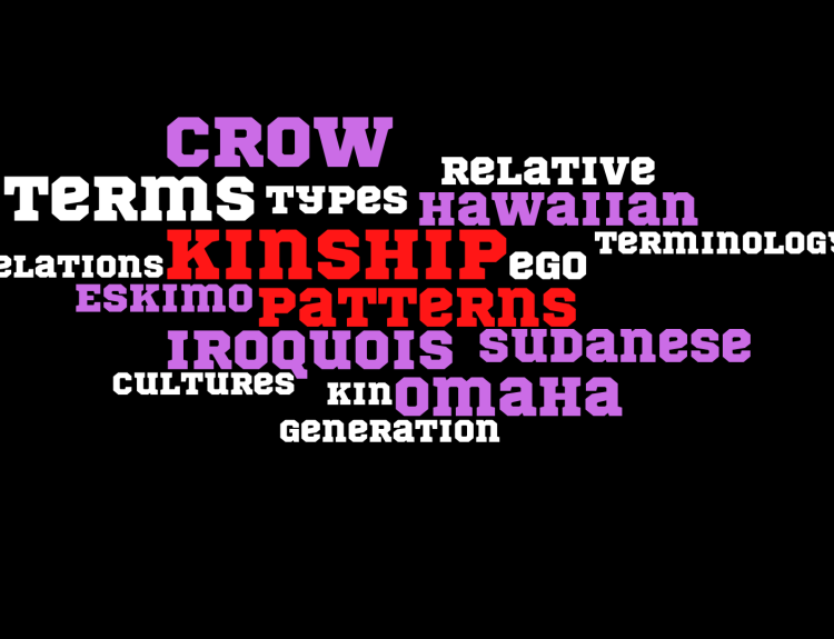 Patterns of Kinship Terminology