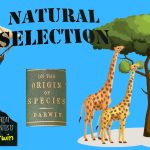 Natural selection theory of evolution