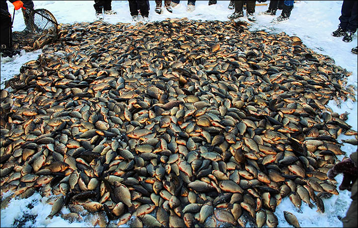 Traditional Ice Fishing- ‘Munkha’