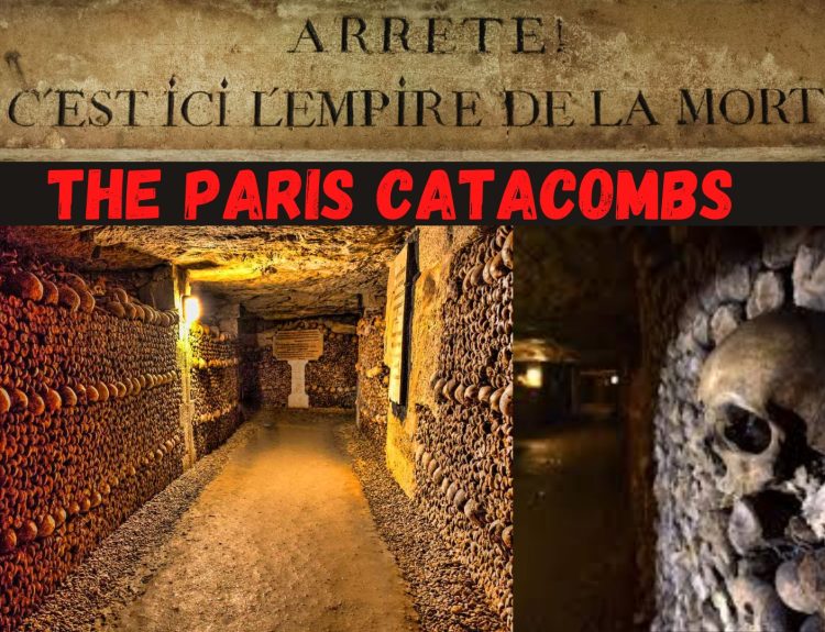 Paris Catacombs- The empire of the dead