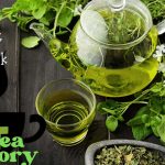 A brief History of Tea Tradition