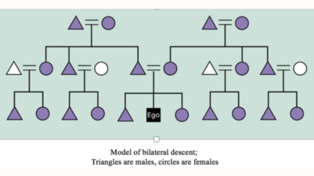 Descent- a person’s family origin 