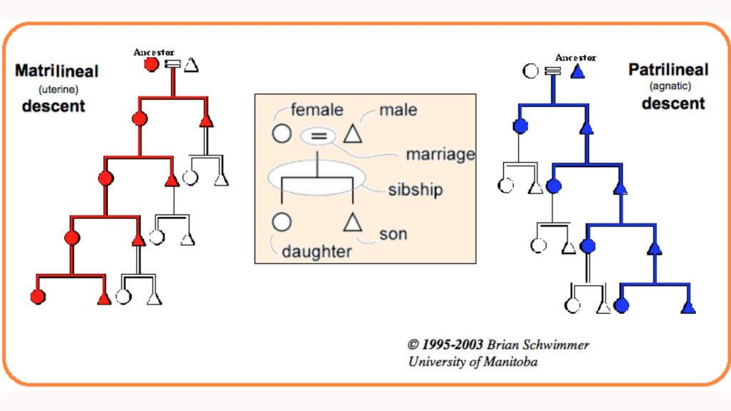 Descent- a person’s family origin 