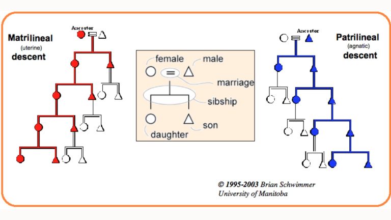Bilateral Descent Example Genogram Descent- a person’s family origin - AnthroMania