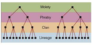 Descent- a person’s family origin 