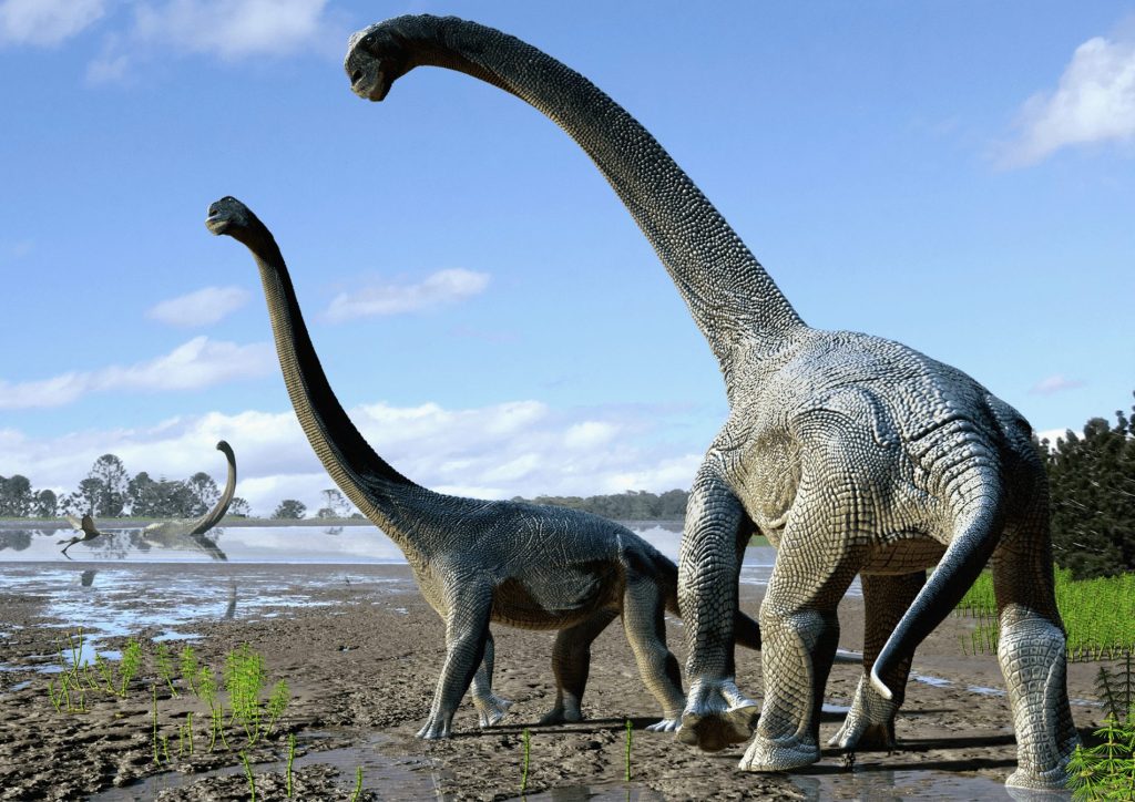 Titanosaur (pic- The New York Times)
