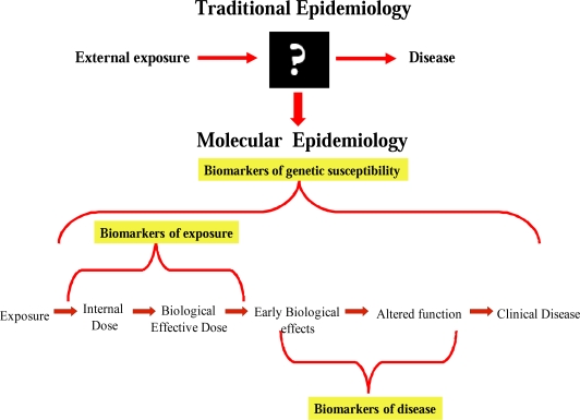 Molecular epidemiology (pic- ResearchGate)