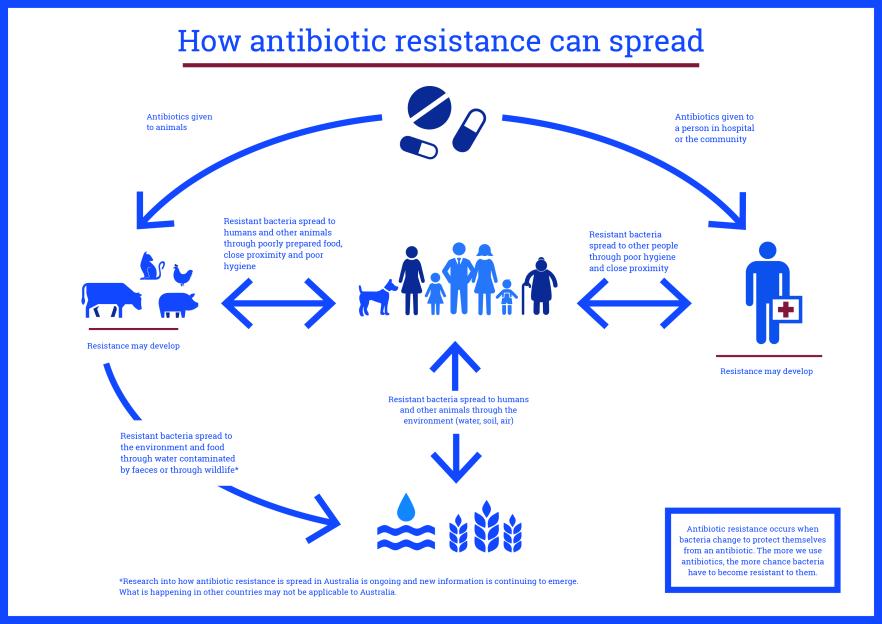 Antibiotic resistance (pic- Antimicrobial resistance)