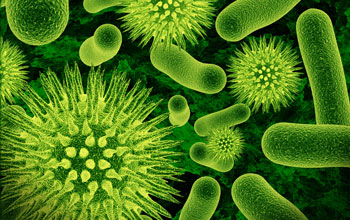 Microorganisms (pic- National Science Foundation)