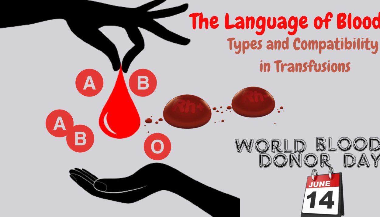 Blood: Types and Compatibility in Transfusions