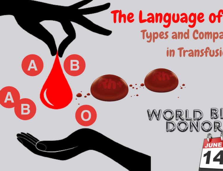 Blood: Types and Compatibility in Transfusions