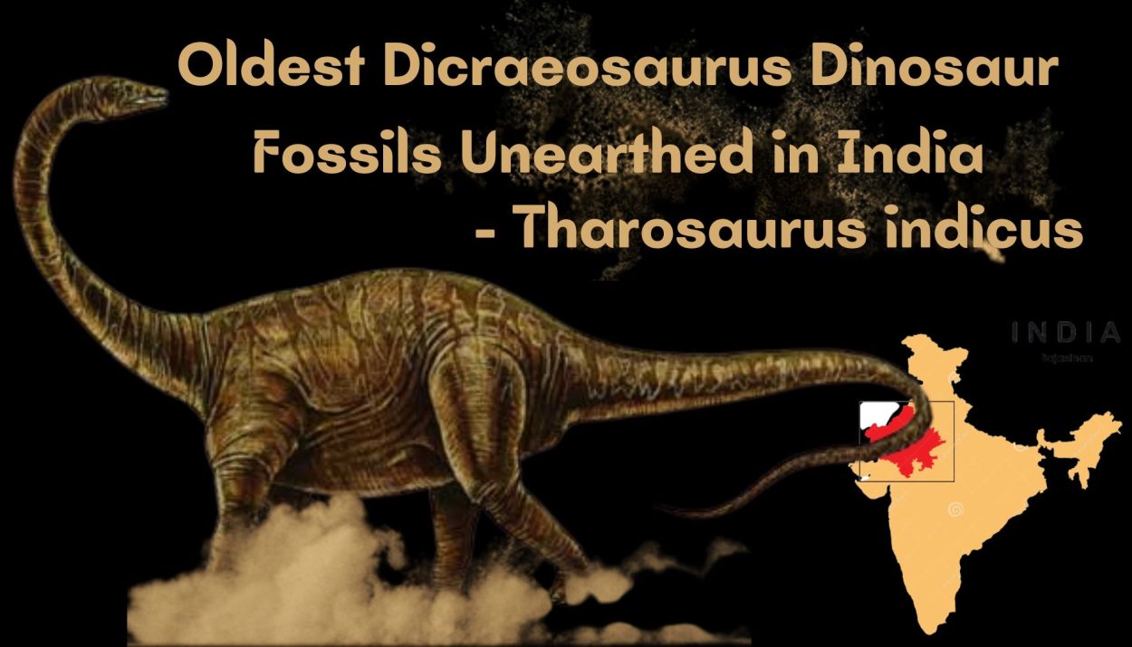 Oldest Dicraeosaurus Dinosaur Fossils Unearthed in India- Tharosaurus indicus