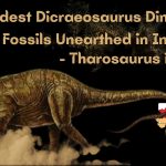 Oldest Dicraeosaurus Dinosaur Fossils Unearthed in India- Tharosaurus indicus