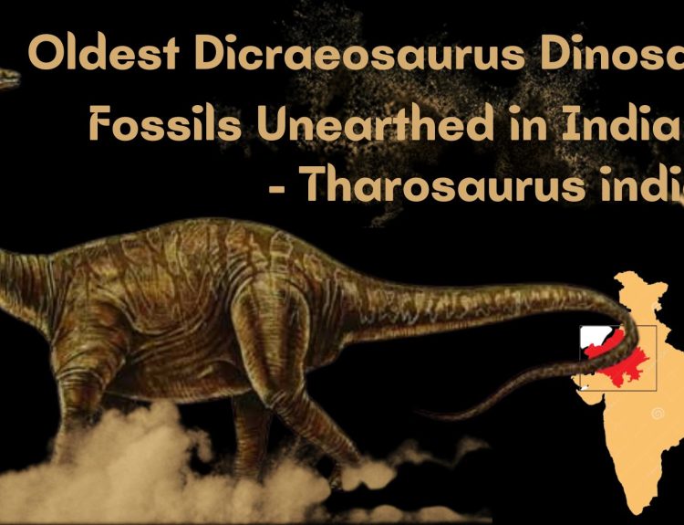 Oldest Dicraeosaurus Dinosaur Fossils Unearthed in India- Tharosaurus indicus