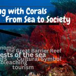 Living with Corals: From Sea to Society