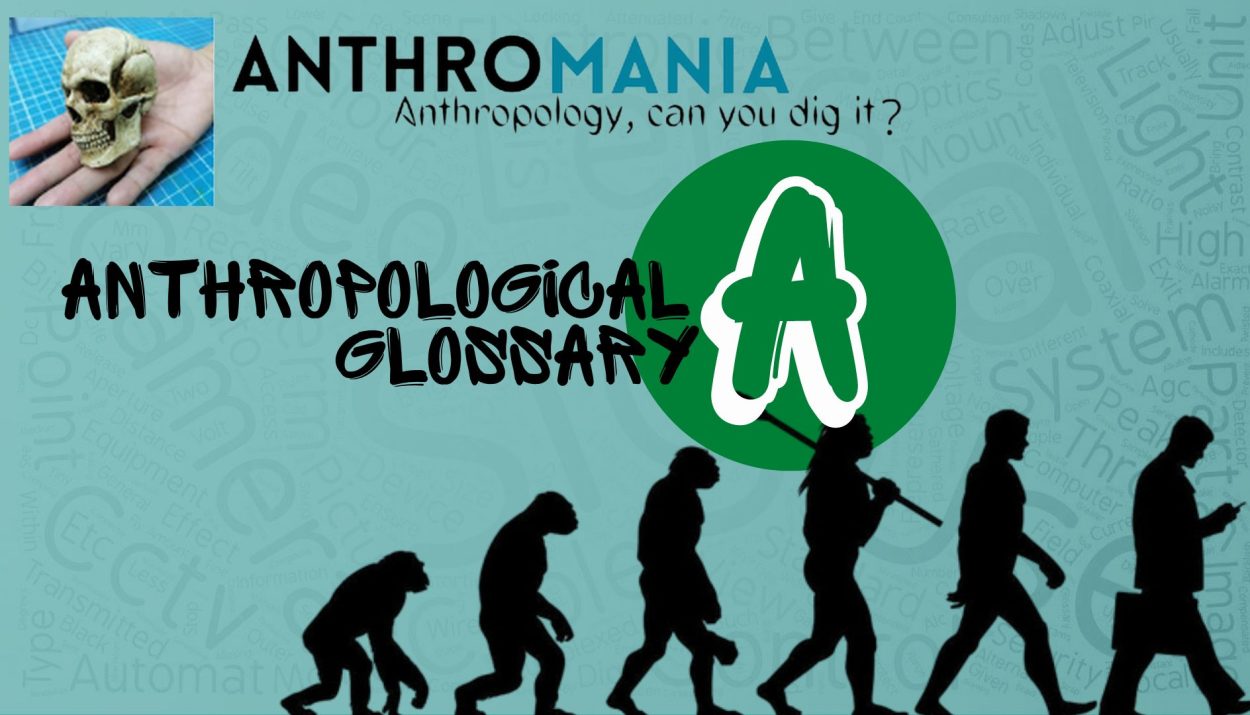 Anthropological Glossary (Letter A)